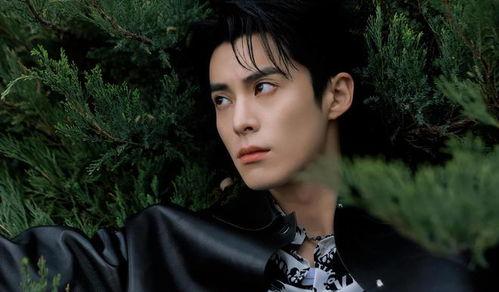 娱乐吃瓜爆料王鹤棣,娱乐圈新晋“吃瓜王”的崛起之路